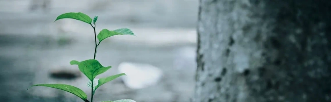 Banner for Environmental education officer: job description