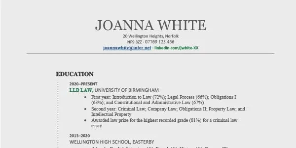 Law vacation scheme CV template